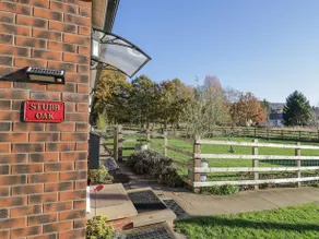 Stubb Oak - Image 1