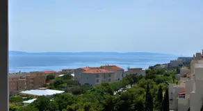 Dani - Image 4