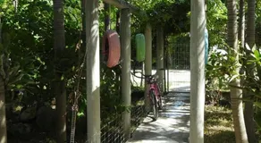 Hotel Las Palapas De Punta Allen - Image 4