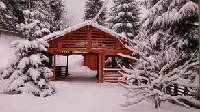 Cabana Colibita - Image 2
