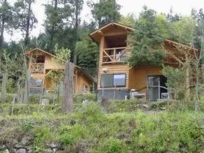 Cottage And Hotsprings Kinkokan - Image 1