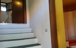 54 Cat - Image 3
