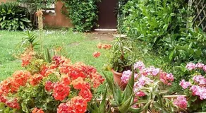 Villino Vuoci - Image 5