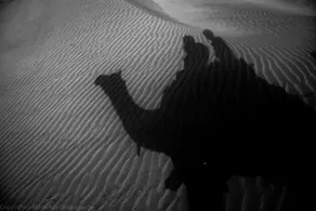 Vihaan Safari - Image 2