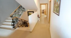 Robinson Bella - Image 3