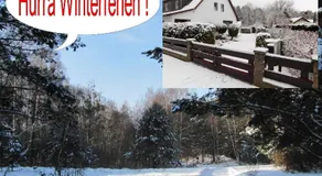 Ferienhaus SUN Schein in Templin - Image 3