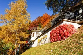 Cafe Pension Waldfrieden - Image 5