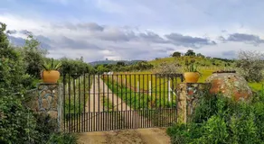 Finca La Palmera Constantina - Image 2