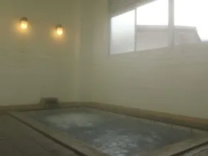 Sachinoyu Hotel - Image 4