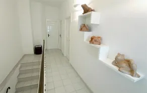 Villa Tre Archi - Image 2
