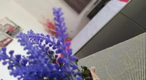 Apartman Matovic - Image 5