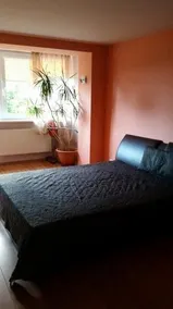 Apartamentu nuoma Palangoje - Image 4