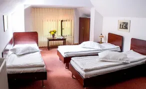 Pensiunea Boema - Image 4