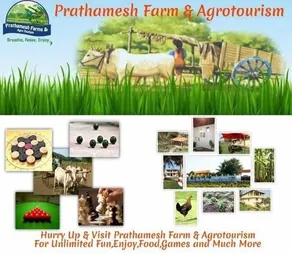 Prathamesh Resorts - Image 2