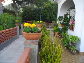 I Fiori Di Lucia - Image 5