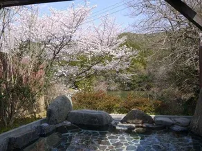 Yamaga Hirayama Onsen Ryokan Kazokuyu Imamura - Image 4