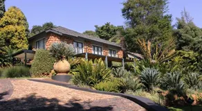 Modjadji House - Image 4