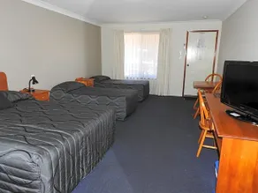 Asters on James Motor Inn - Image 5