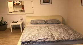 Studio-Apartment Nahe Erlangen/Herzogenaurach - Image 3