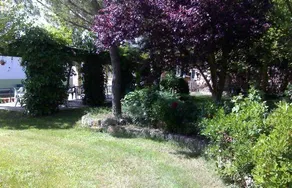 Camino De Santiago - Image 2