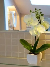 Ferienhaus Villa Rosi - Image 3