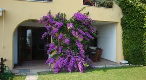 Apartment Bougainvillea - Image 2