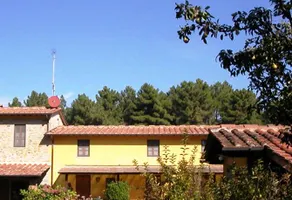 Il Pianacci - Image 2
