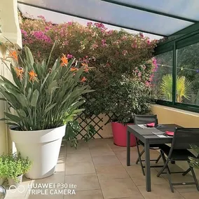 Le Patio D'olivier - Image 3