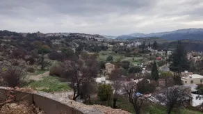 Artemis Village House - Image 5