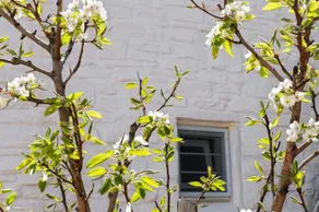 Holiday Home Lefkes - Image 2