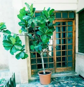 Casa Linda Sant'Antioco - Image 2