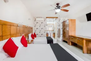 Hotel Maioris Guadalajara - Image 3