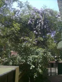 Soukhyasanthi Ayurveda Centre - Image 1