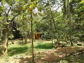 Sisila Inn - Image 5