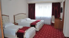 Hostel Paltinis - Image 4