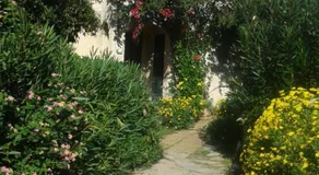 Maison du bonheur - Image 5