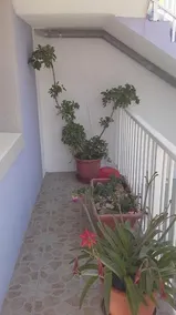 Apartments Borcic - Image 3