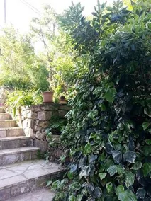 Guest House Aloha - Image 5