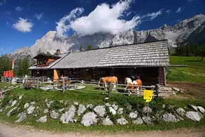 Gaestehaus Bergwelt - Image 4