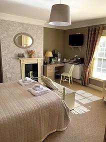 The Elm Tree - Image 3