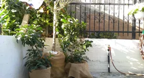 Johanna's home, near the sea - Image 3