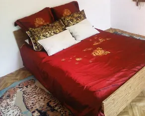 Guest house on Akmatbai-Ata 29 - Image 5
