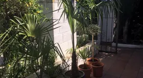 Casa Rivas con piscina abierta todo el ano - Image 5