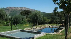Quinta Do Vaqueirinho - Agro-Turismo - Image 5