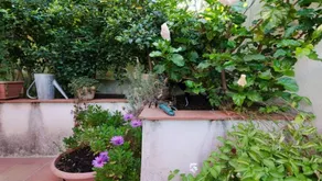 Home Morad - Image 4