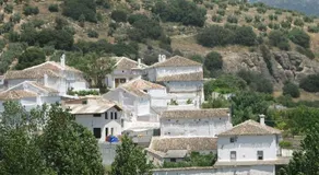 El Asno Azul - Image 4