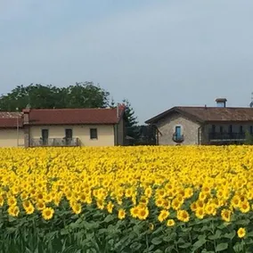 Agriturismo Borgo Chiasalp - Image 3