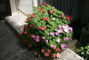 Gracebrook Retreat - Image 3