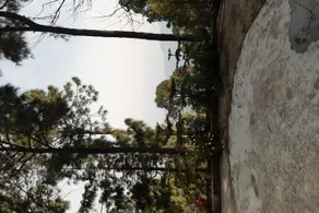Sai Homestay - Image 2