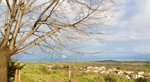 Casa Rural Mirador Los Cotos - Image 2